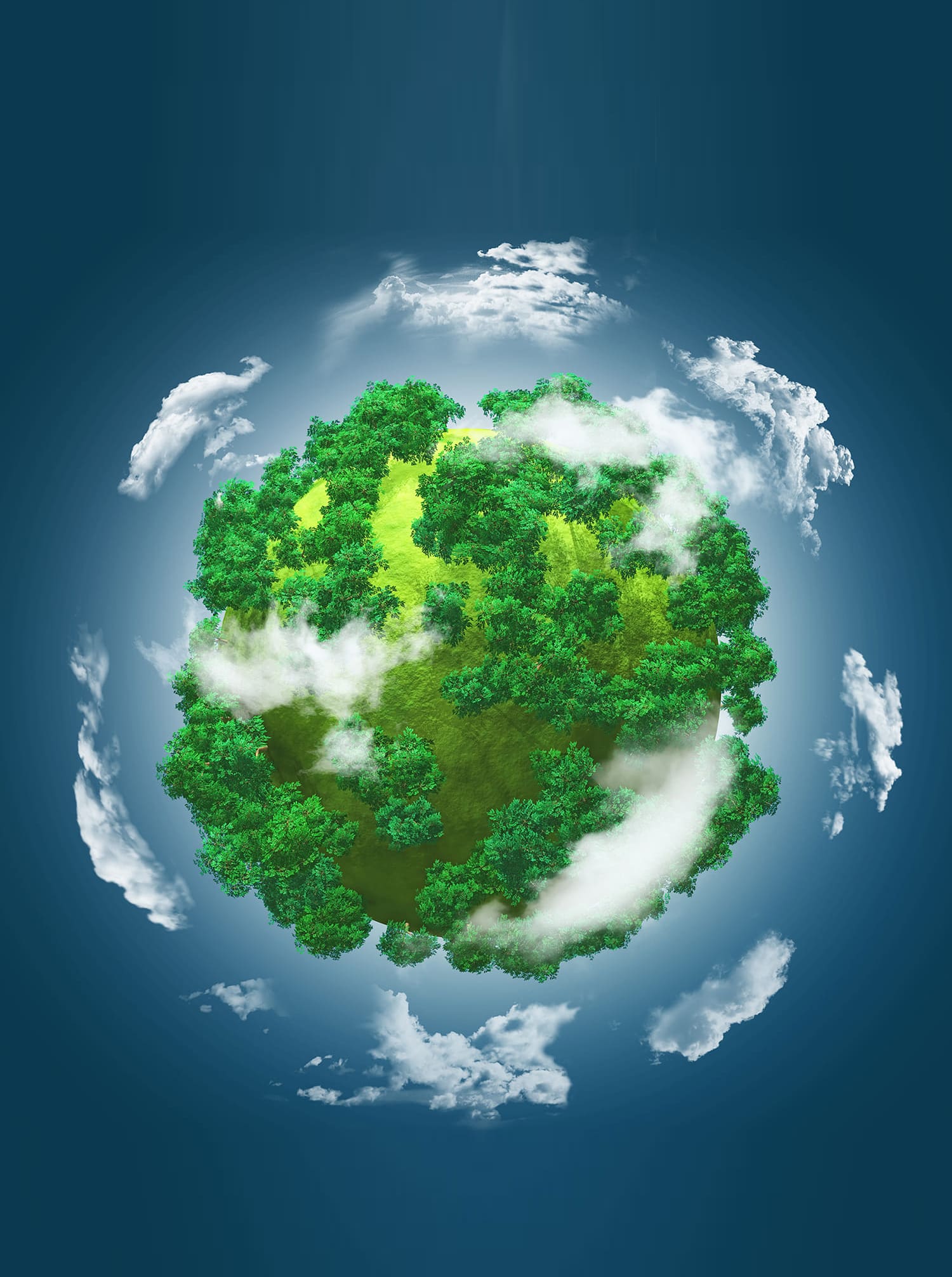 Environmental Policy